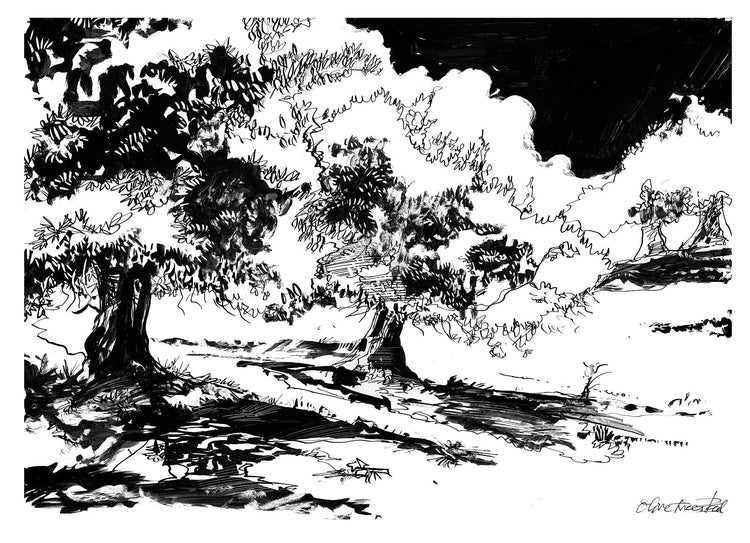 Black & White Drawings