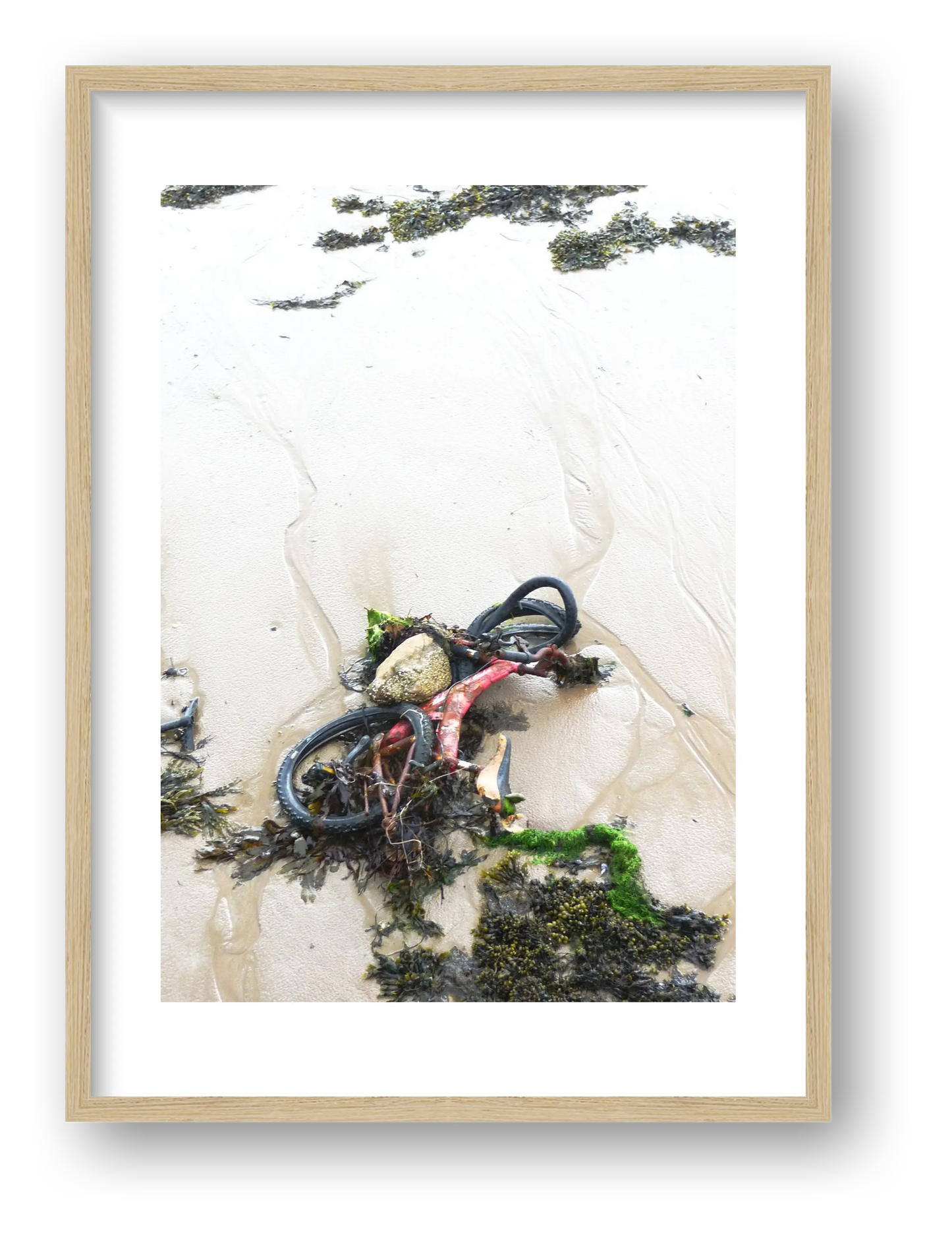 Beach Bike — framed