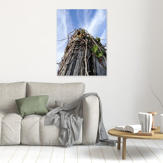 How to frame giclee prints without spoiling them