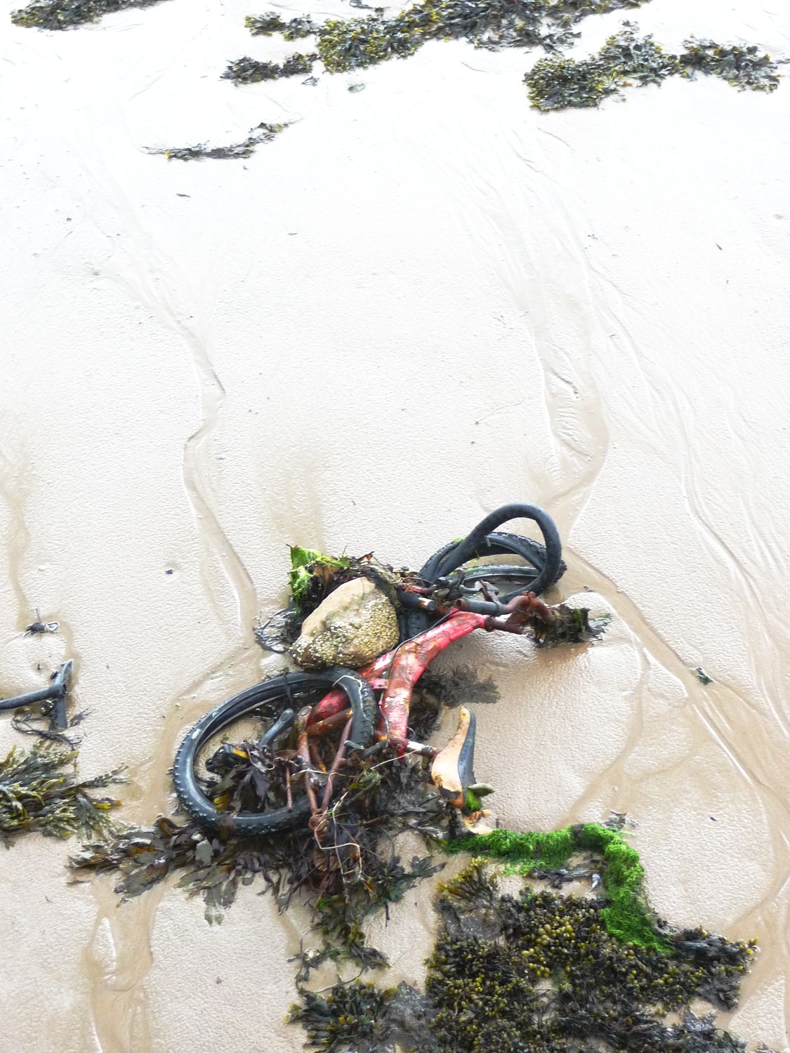 Beach Bike