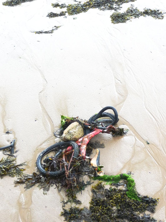 Beach Bike