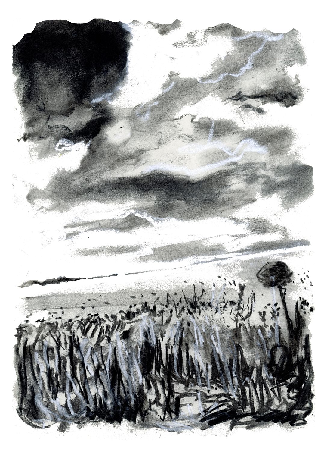 French Cornfield