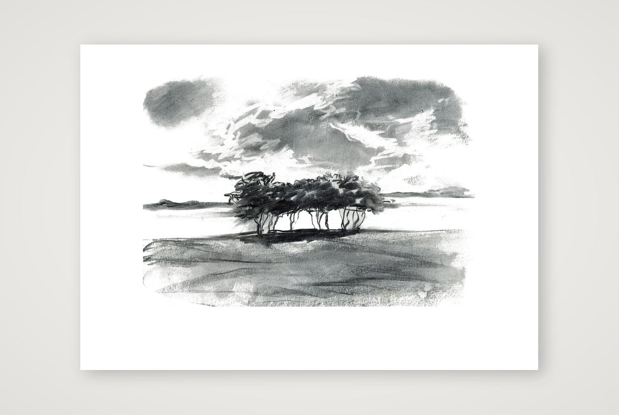 Severn Trees — 59×42cm, 23×17" Print only