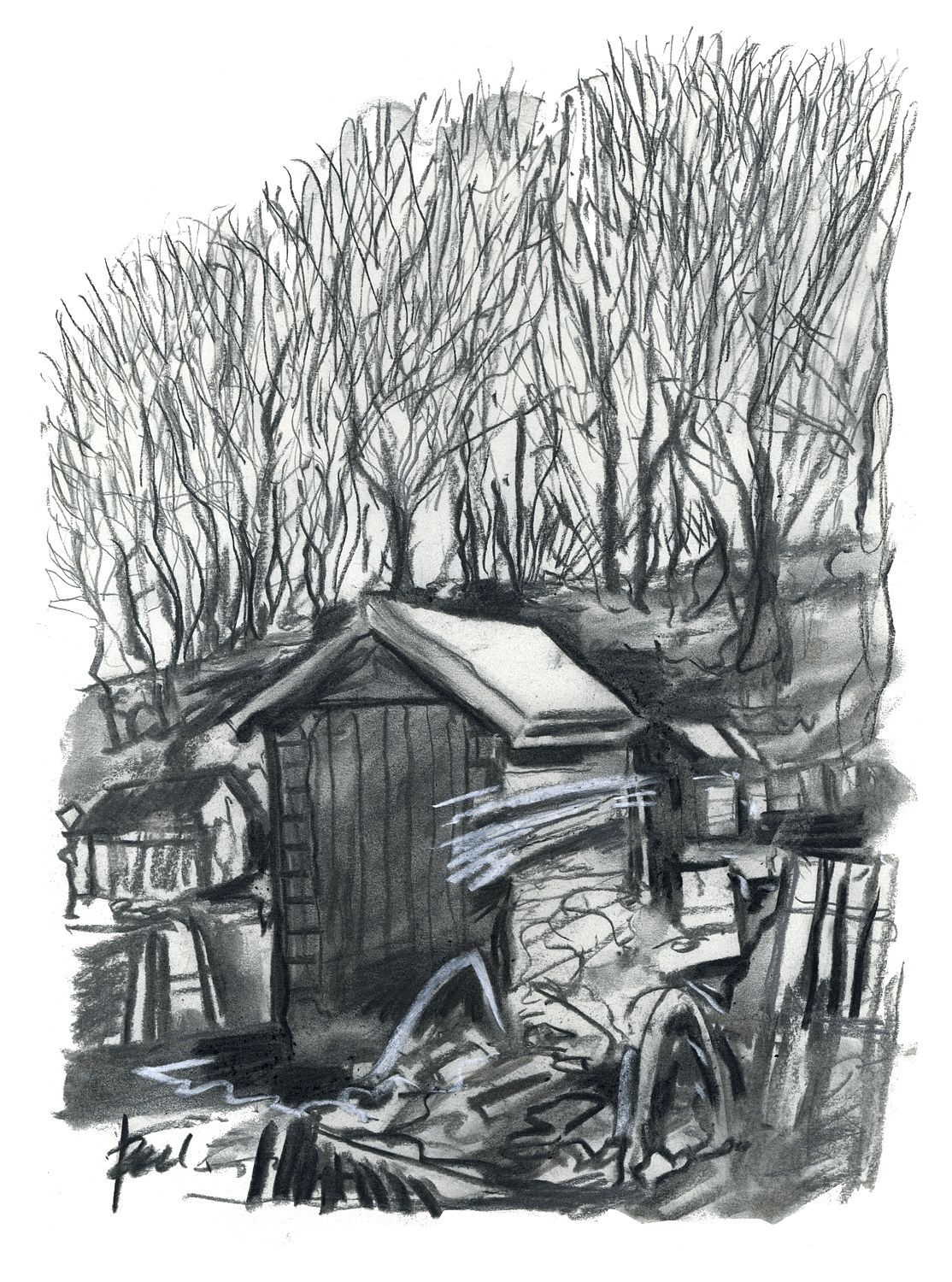 Redding Shed Winter