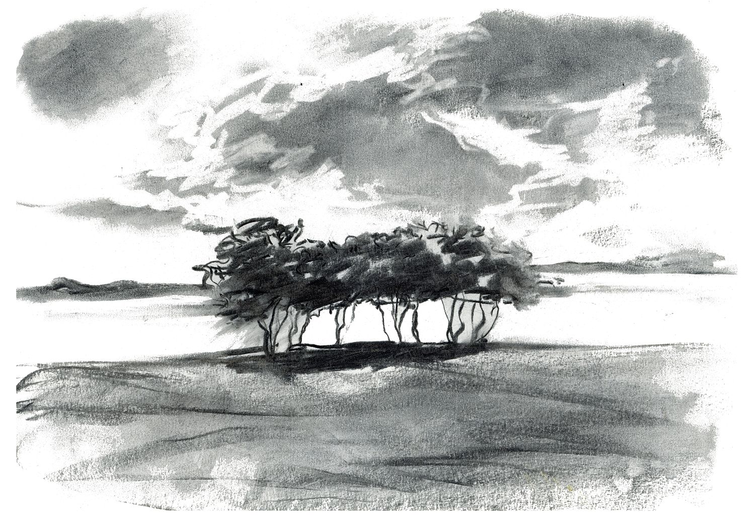 Severn Trees