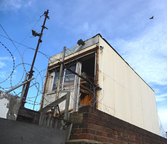 The Office Shed