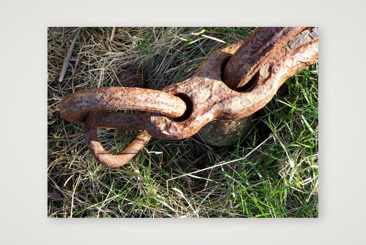 Chain link final — A4 (30×21cm, 12×8") Print only
