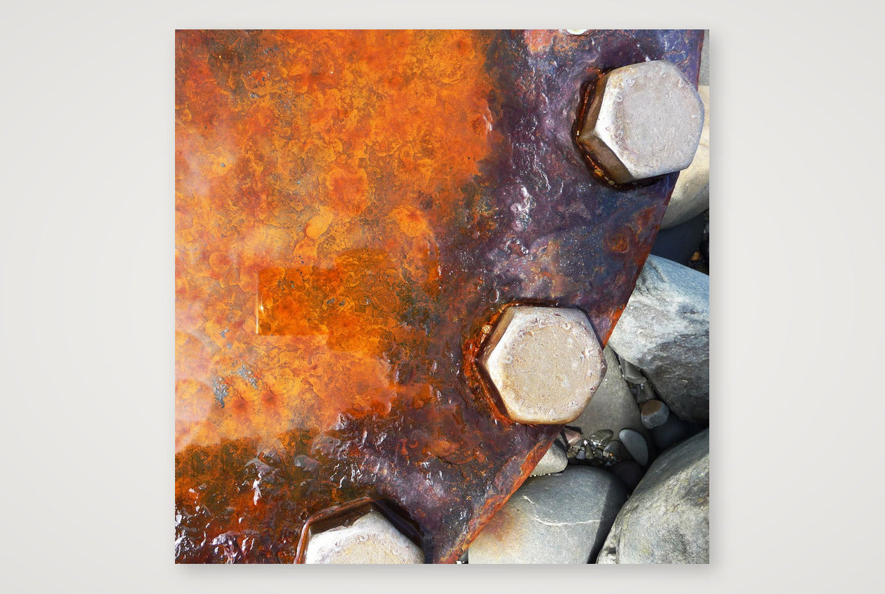 Westward Nuts — 30×30cm, 12×12" Print only