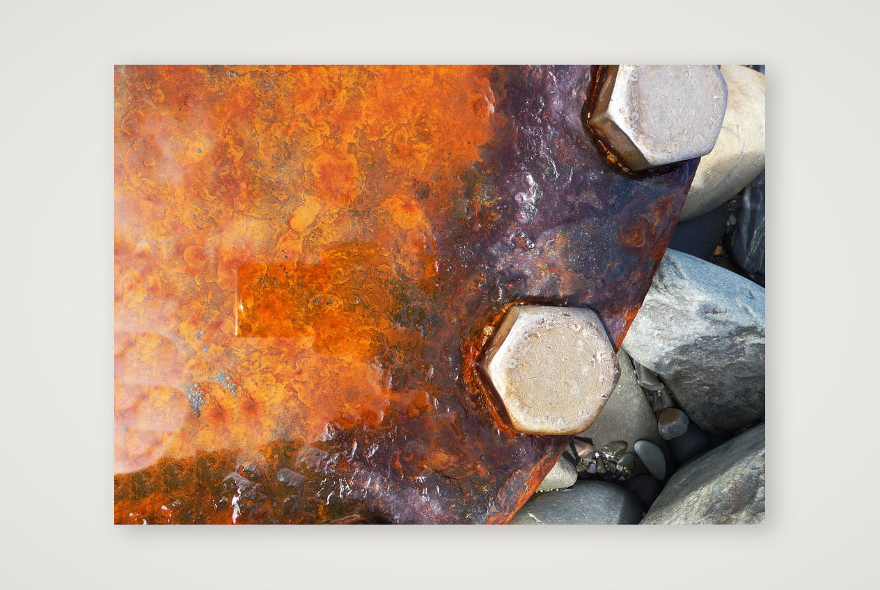 Westward Nuts — A4 (30×21cm, 12×8") Print only