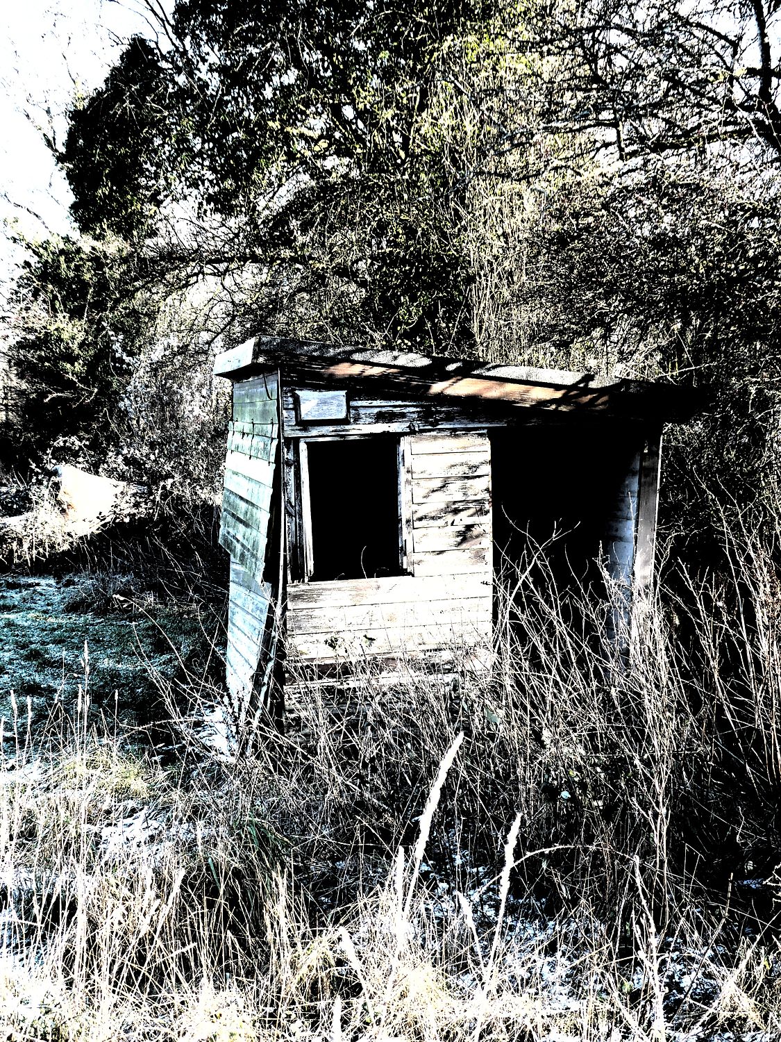 Cricket hut