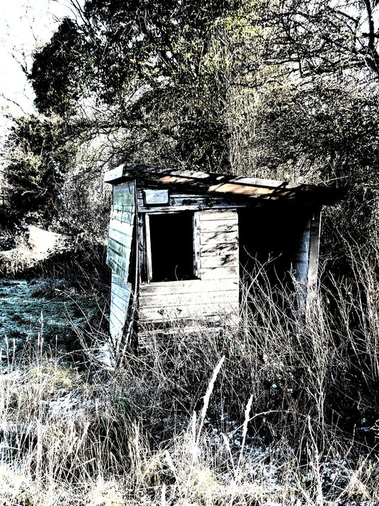 Cricket hut