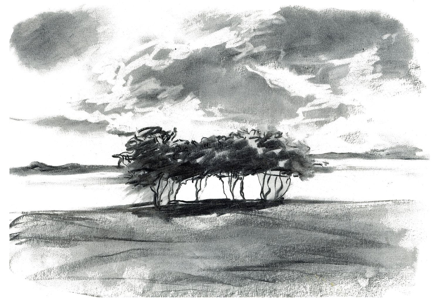 Severn Trees