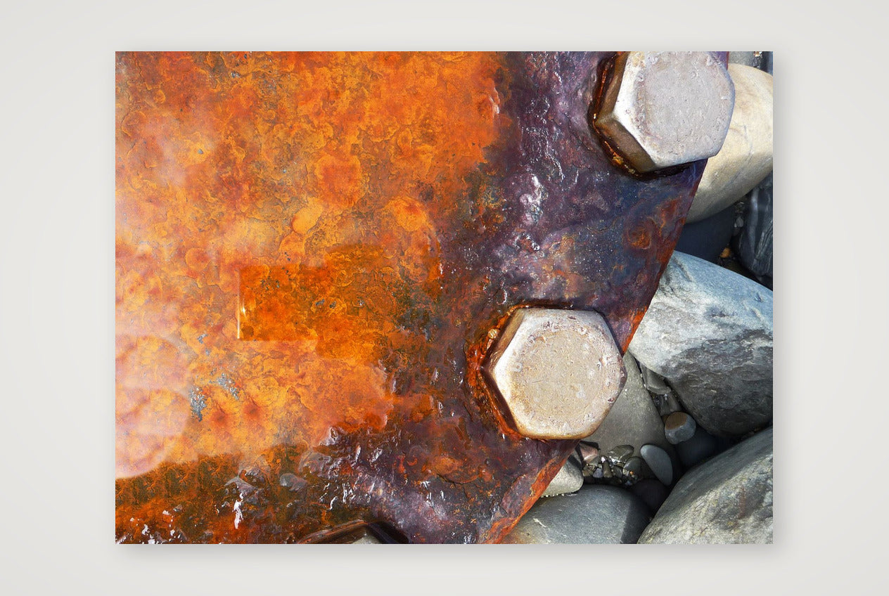 Westward Nuts — 80×60cm, 31×24" Print only