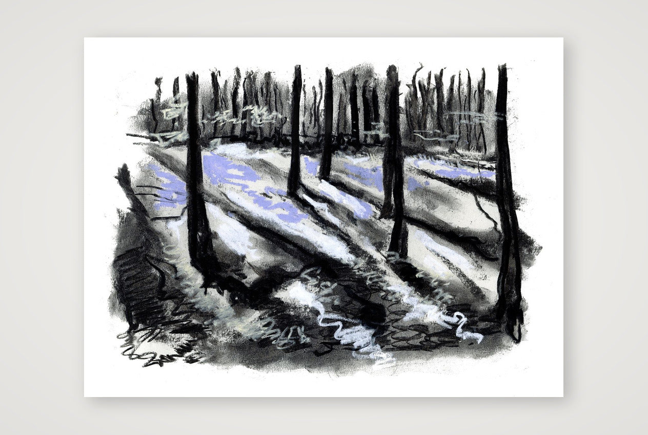 Bluebell Wood Somerset — 80×60cm, 31×24" Print only