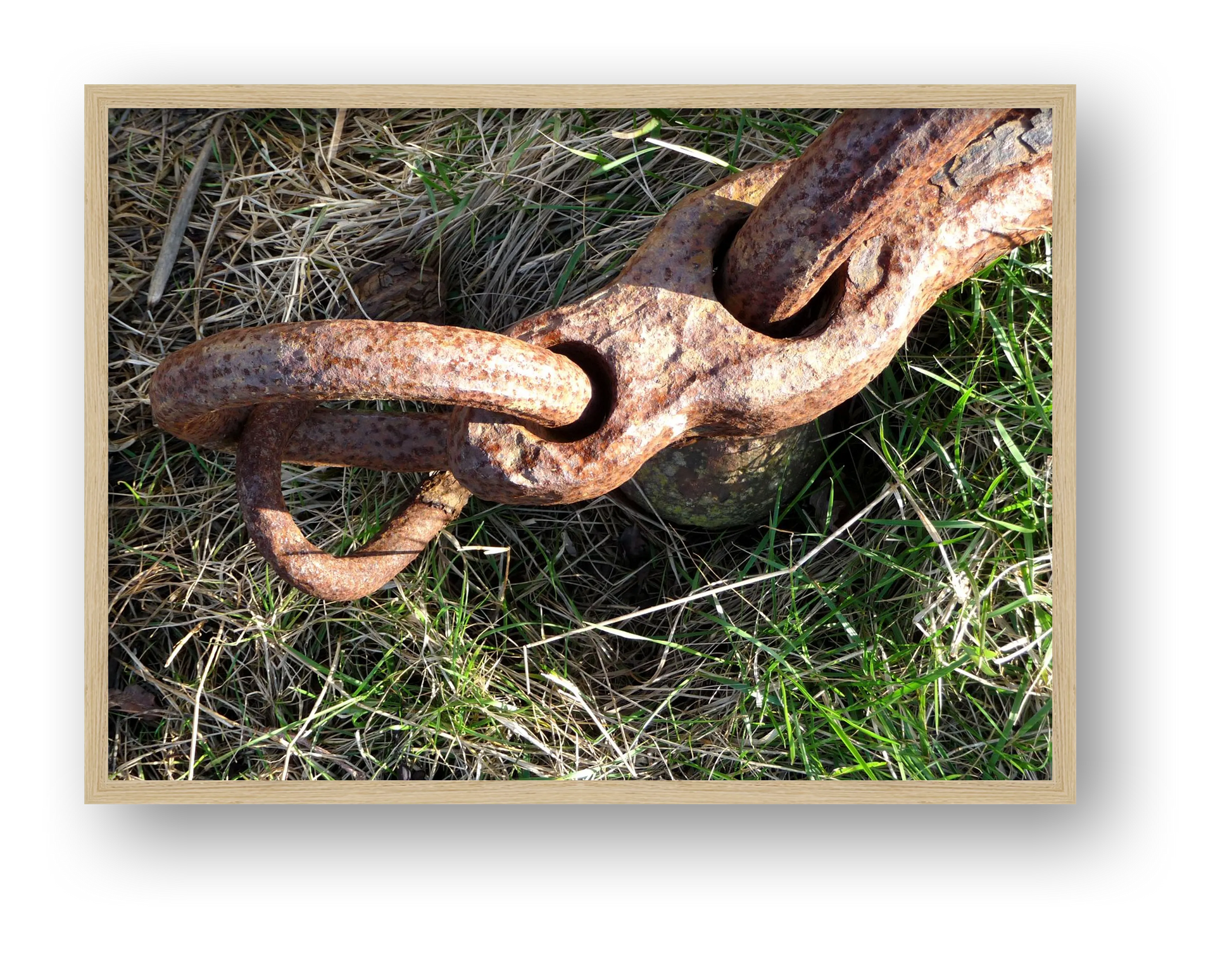 Chain link final — framed