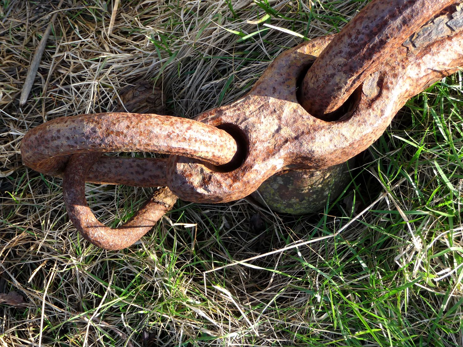 Chain link final
