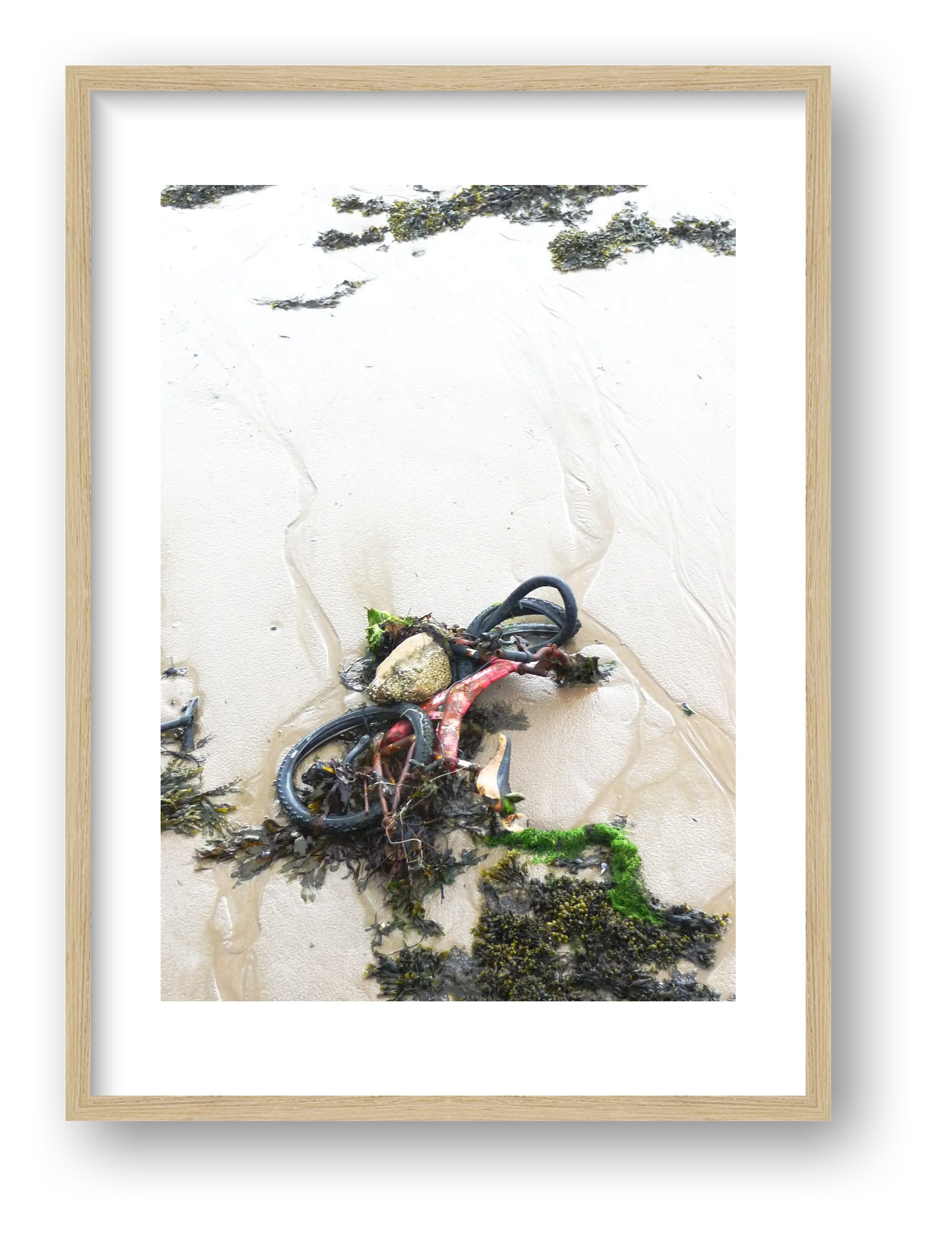 Beach Bike — framed