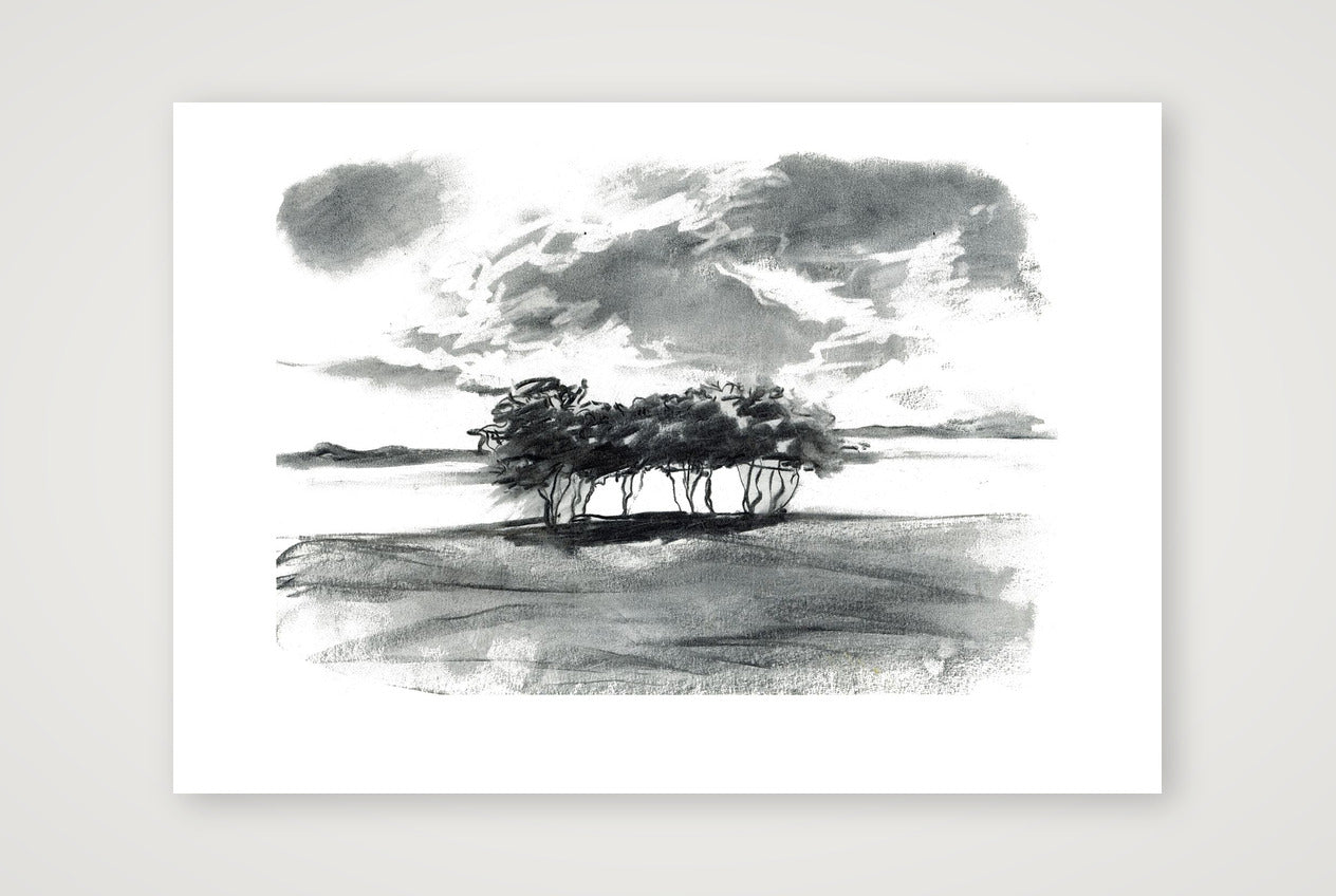 Severn Trees — 100×70cm, 39×28" Print only