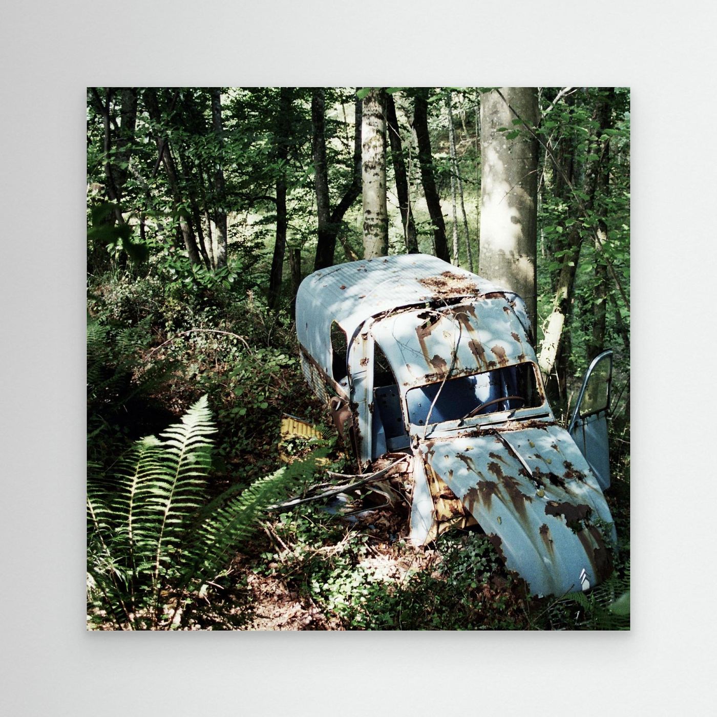 2CV in the Woods