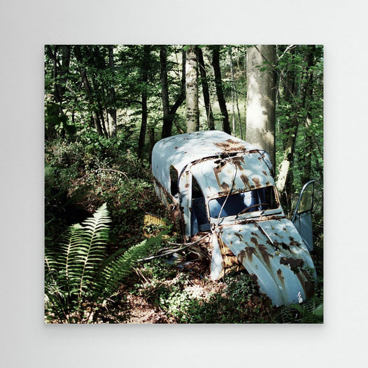 2CV in the Woods