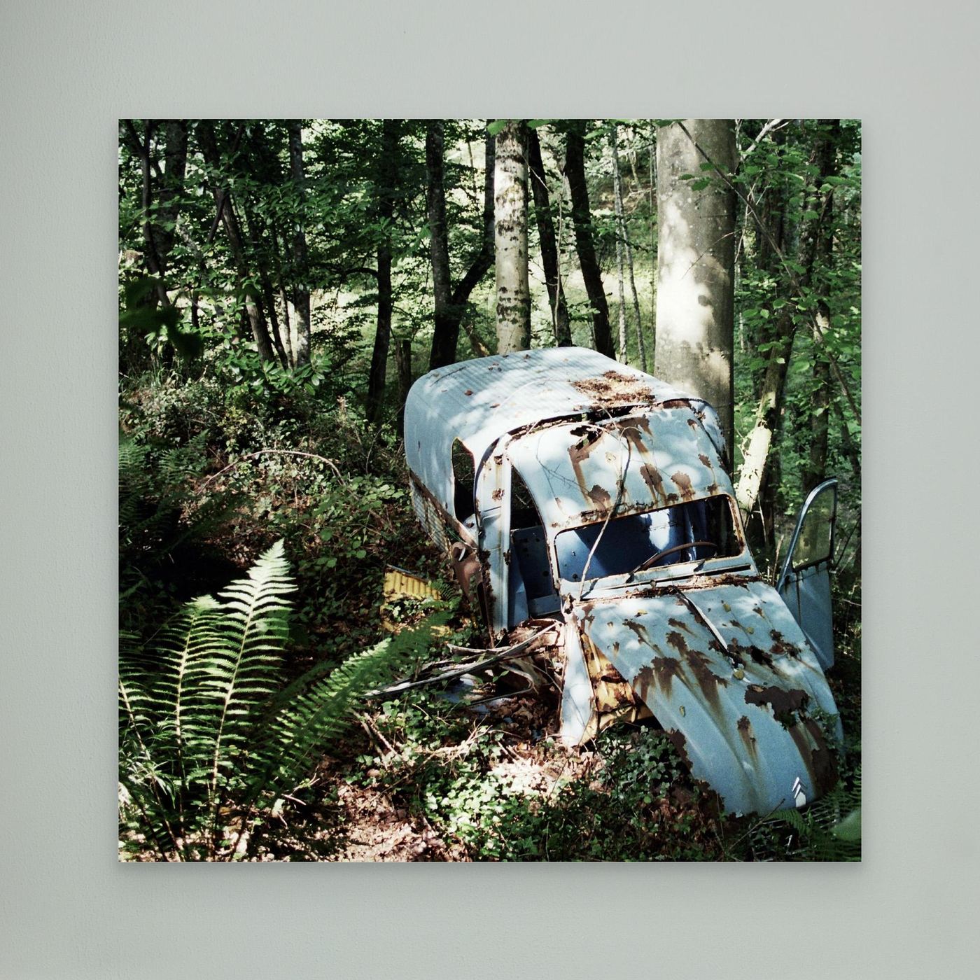 2CV in the Woods